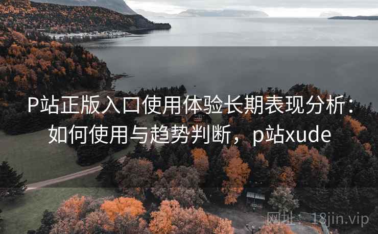 P站正版入口使用体验长期表现分析：如何使用与趋势判断，p站xude  第2张