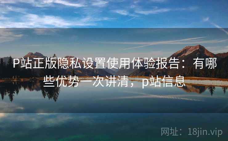 P站正版隐私设置使用体验报告：有哪些优势一次讲清，p站信息  第1张