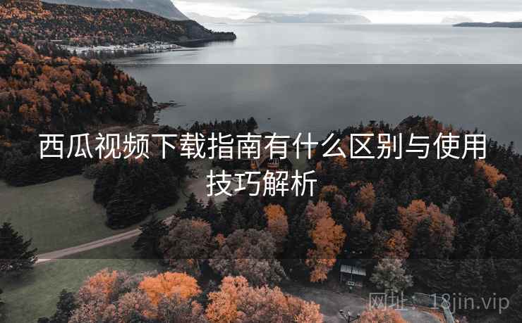 西瓜视频下载指南有什么区别与使用技巧解析  第2张