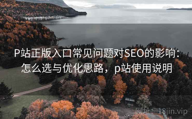 P站正版入口常见问题对SEO的影响：怎么选与优化思路，p站使用说明  第1张