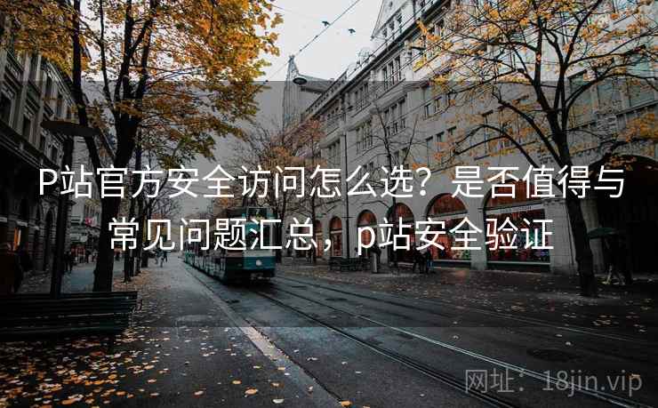 P站官方安全访问怎么选？是否值得与常见问题汇总，p站安全验证  第2张