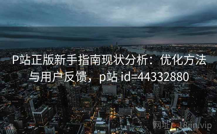 P站正版新手指南现状分析：优化方法与用户反馈，p站 id=44332880  第2张