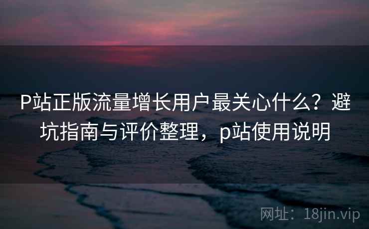 P站正版流量增长用户最关心什么？避坑指南与评价整理，p站使用说明  第2张