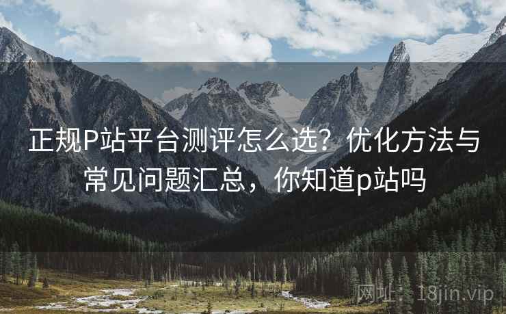 正规P站平台测评怎么选?优化方法与常见问题汇总,你知道p站吗 第1张 正规P站平台测评怎么选?优化方法与常见问题汇总,你知道p站吗 第1张