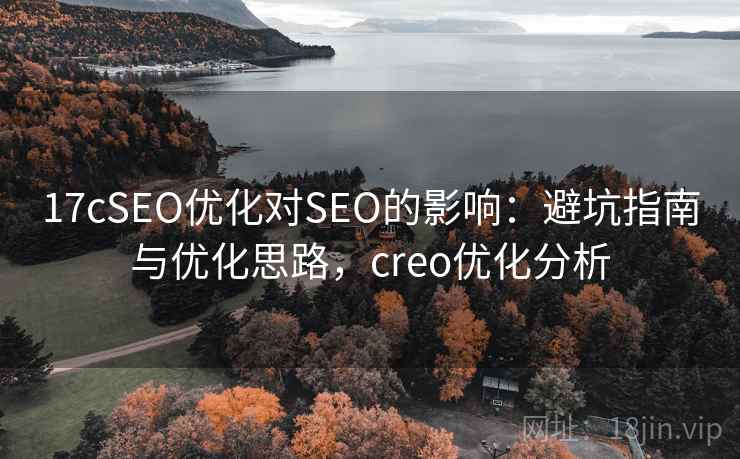 17cSEO优化对SEO的影响：避坑指南与优化思路，creo优化分析