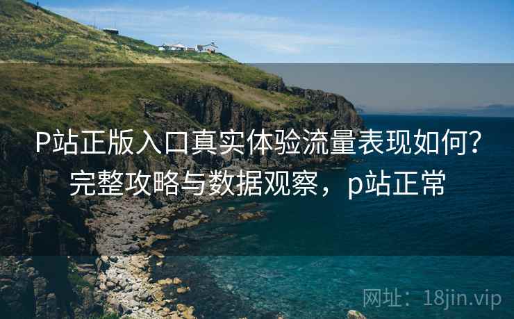 P站正版入口真实体验流量表现如何?完整攻略与数据观察,p站正常 第2张 P站正版入口真实体验流量表现如何?完整攻略与数据观察,p站正常 第2张
