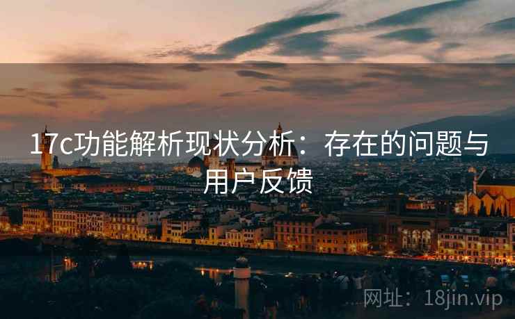 17c功能解析现状分析:存在的问题与用户反馈 第2张 17c功能解析现状分析:存在的问题与用户反馈 第2张
