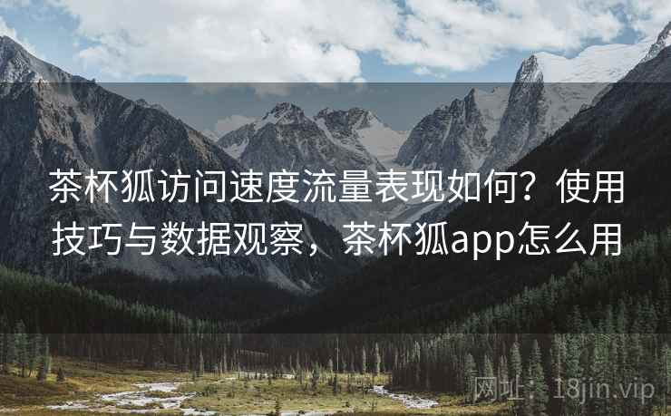 茶杯狐访问速度流量表现如何？使用技巧与数据观察，茶杯狐app怎么用  第2张