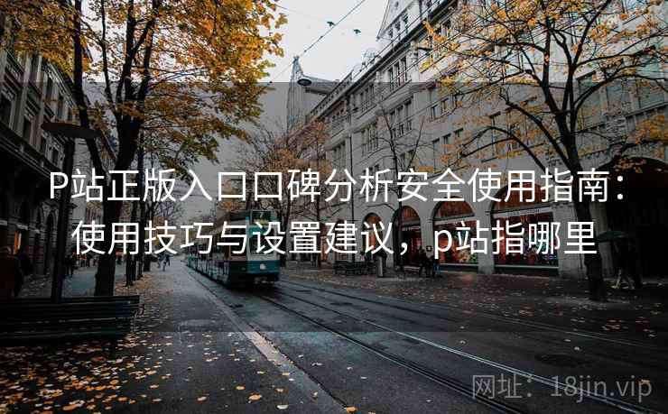 P站正版入口口碑分析安全使用指南：使用技巧与设置建议，p站指哪里  第2张