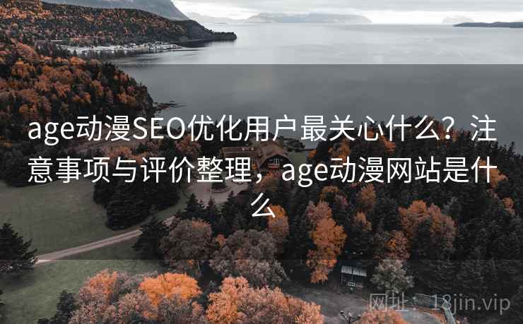 age动漫SEO优化用户最关心什么？注意事项与评价整理，age动漫网站是什么  第2张