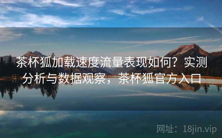 茶杯狐加载速度流量表现如何？实测分析与数据观察，茶杯狐官方入口  第1张