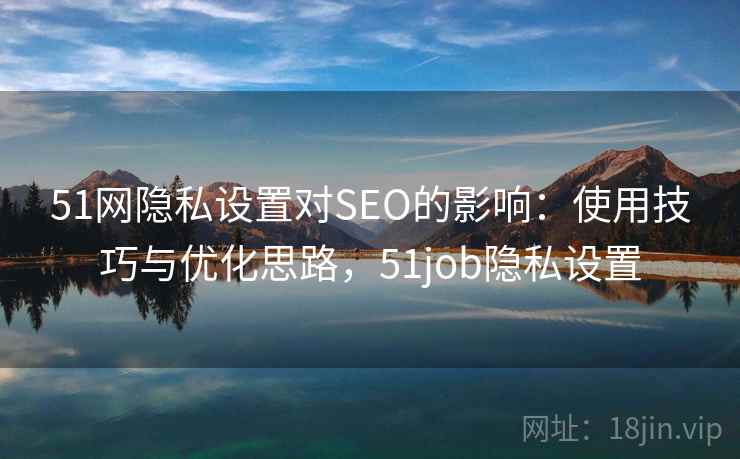 51网隐私设置对SEO的影响：使用技巧与优化思路，51job隐私设置  第1张