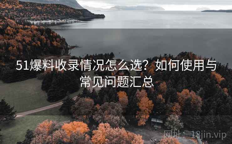 51爆料收录情况怎么选？如何使用与常见问题汇总  第2张